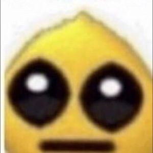 Meet your Posher, Kirsten